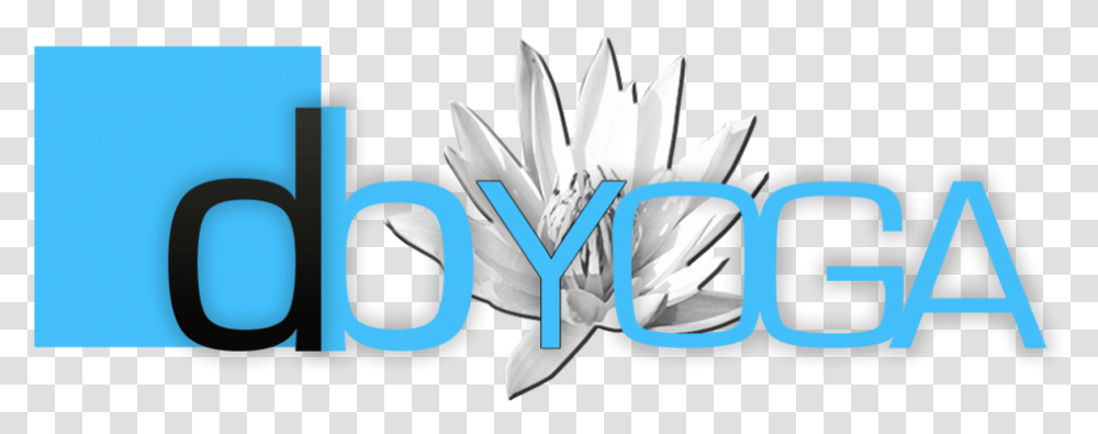 Dbyoga Lotus Carrib Blue2 Graphic Design, Plant, Flower, Blossom, Daisy Transparent Png