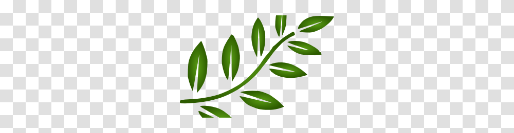 Dbz Aura Image, Green, Leaf, Plant Transparent Png