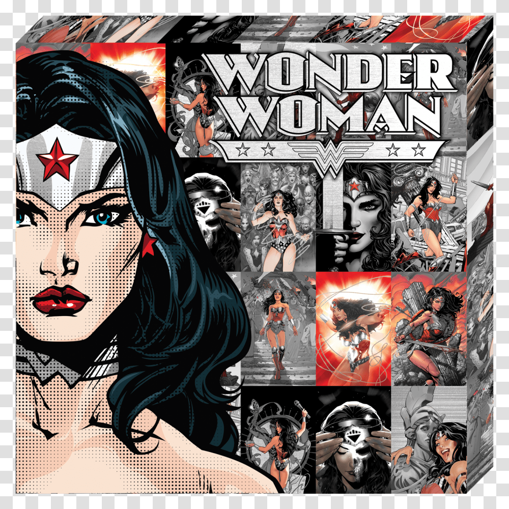 Dc Comics Metallic Canvas Wonder Woman Wonder Woman Wall Art Comics, Book, Person, Human, Poster Transparent Png