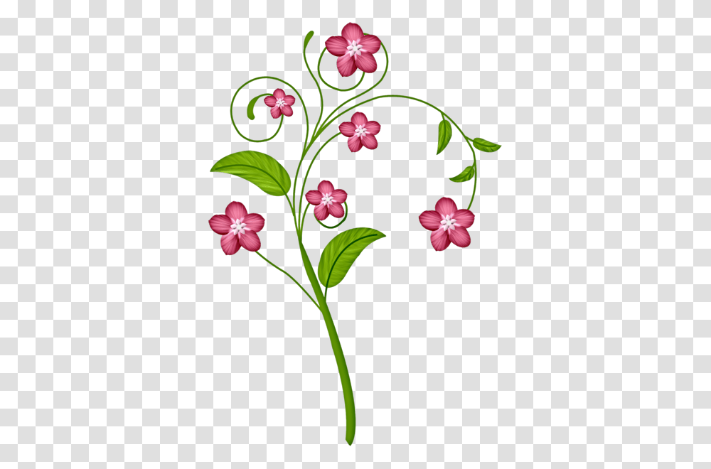 Dcd Prch Forget Me Not Flower Flowers Clip Art, Plant, Blossom, Petal, Acanthaceae Transparent Png