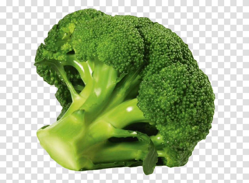 Dcembre Le Brocoli Gemuse, Plant, Broccoli, Vegetable, Food Transparent Png