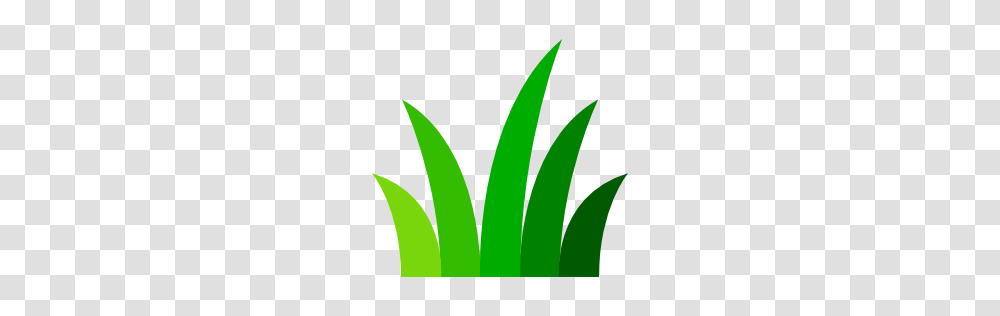 Dcg Lawn Care Services Llc Tallahassee Fl, Logo, Trademark, Plant Transparent Png