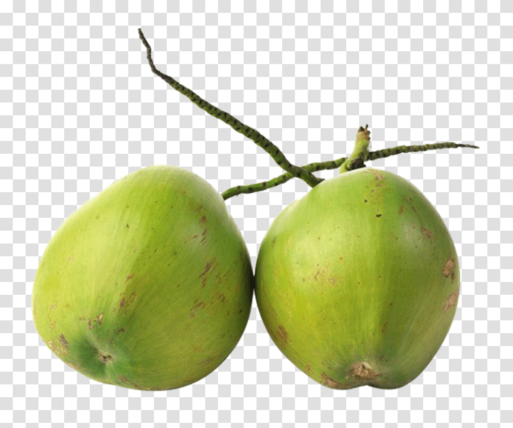 De Coco Image, Plant, Fruit, Food, Nut Transparent Png