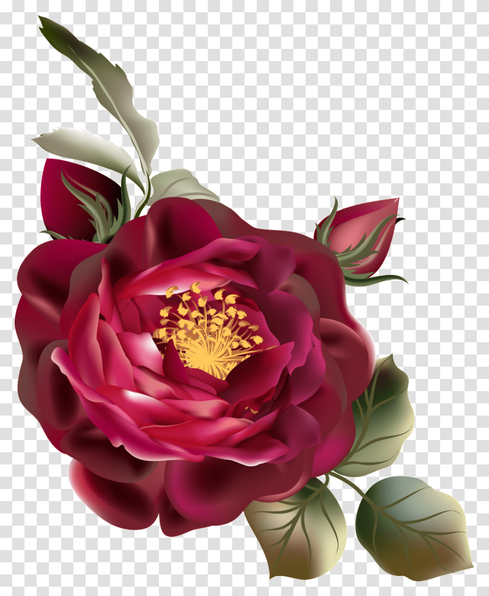 De De Cor De Rosa Vermelha Vintage Flor Vermelha, Plant, Flower, Blossom, Petal Transparent Png