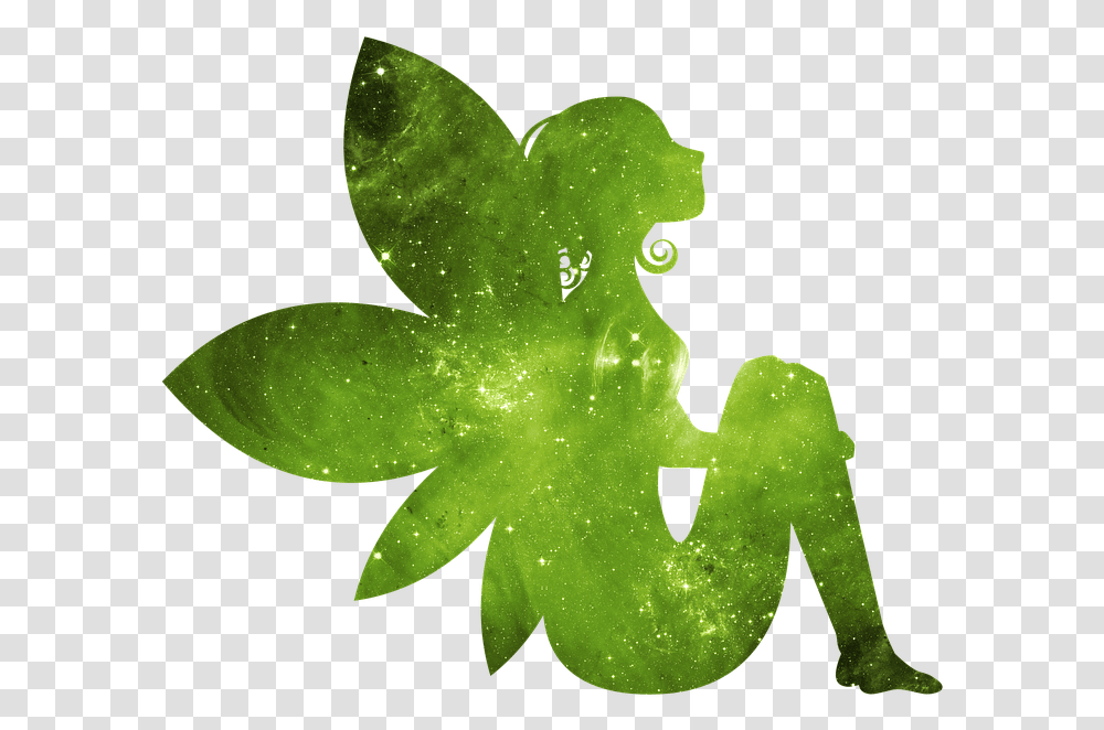 De Hadas Galaxy Hada De La Galaxia Estrellas Louisa May Alcott Fairy Song, Leaf, Plant, Green, Light Transparent Png