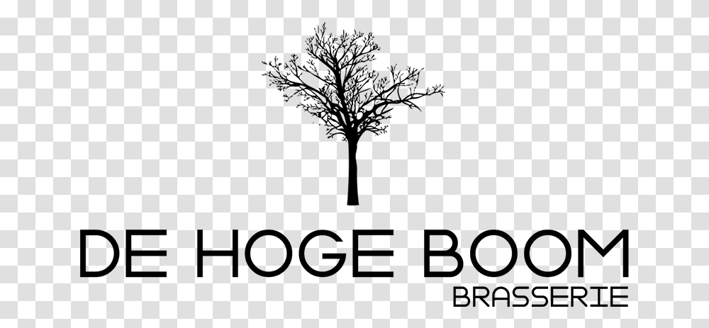 De Hogeboom Monochrome, Gray, World Of Warcraft Transparent Png