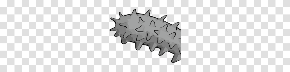 De Mer Fish Chain University Of Technology Sydney, Teeth, Mouth, Blade, Weapon Transparent Png