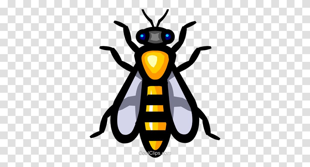 De Uma Vespa Livre De Direitos Vetores Clip Art, Wasp, Bee, Insect, Invertebrate Transparent Png