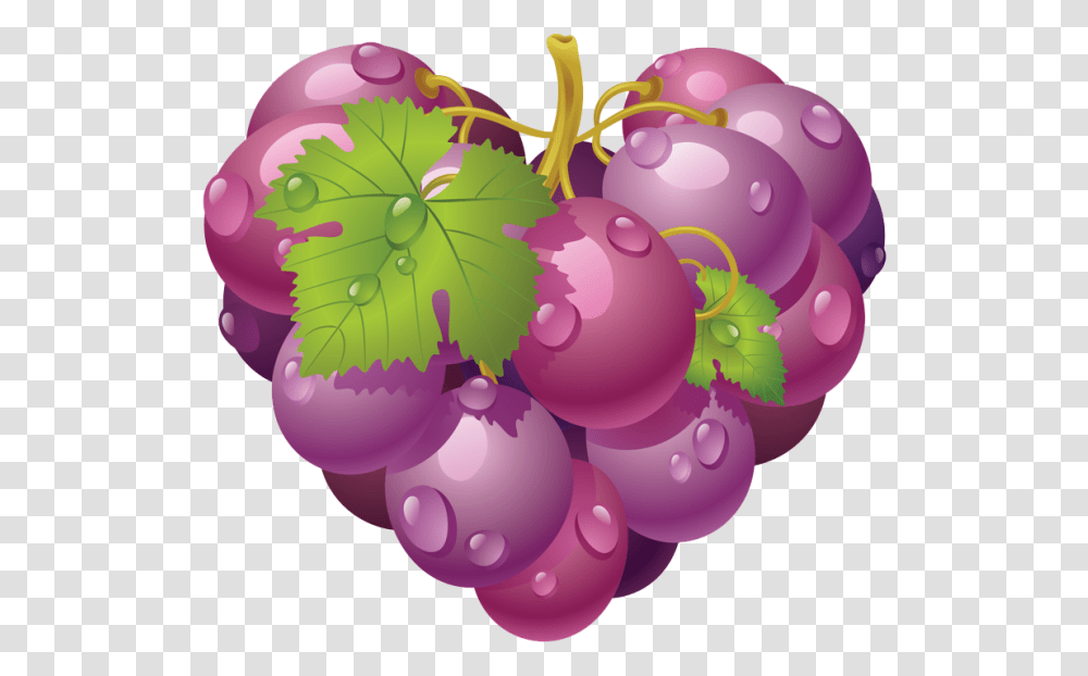 De Uva, Plant, Grapes, Fruit, Food Transparent Png