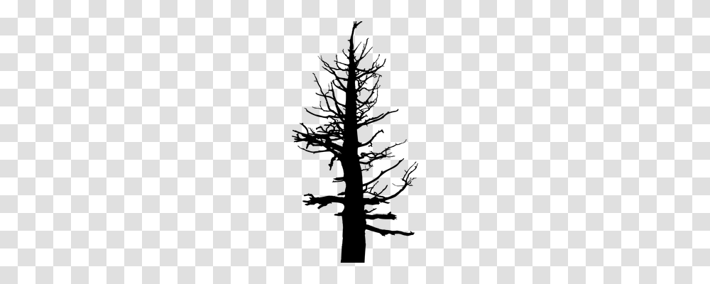 Dead Nature, Gray, World Of Warcraft Transparent Png