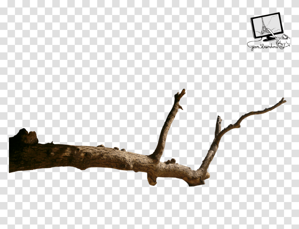 Dead Branch Image, Silhouette, Tree, Plant, Wasp Transparent Png
