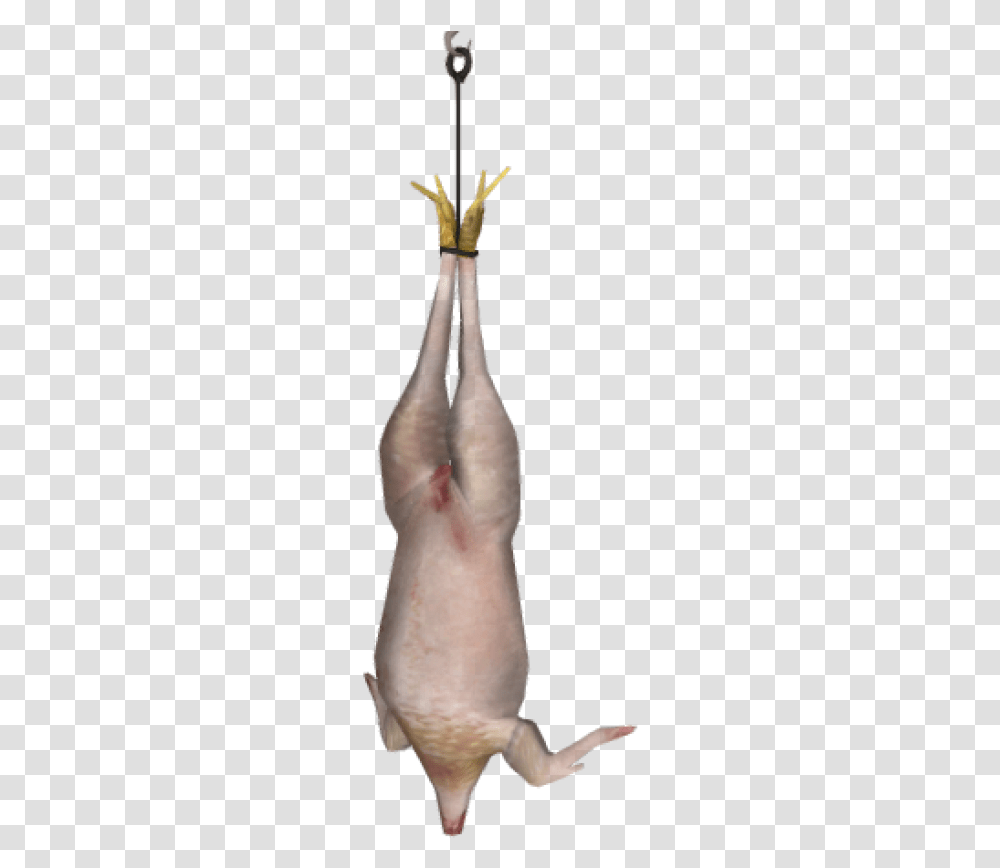 Dead Chicken, Person, Human, Hand, Finger Transparent Png