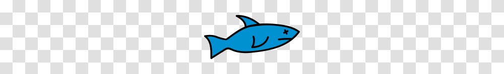 Dead Fish, Shark, Sea Life, Animal Transparent Png