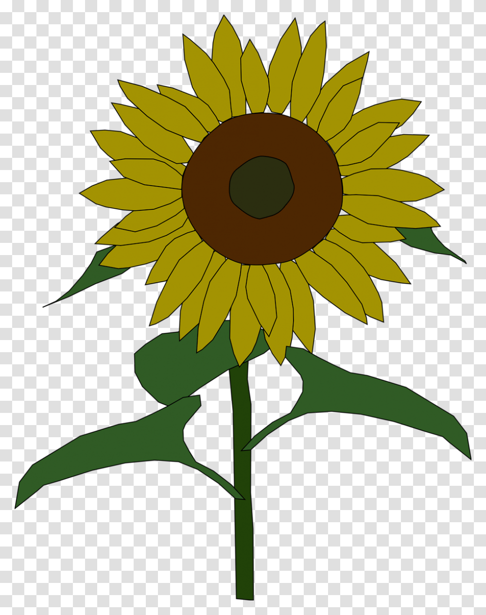 Dead Flower Clipart, Plant, Blossom, Sunflower Transparent Png