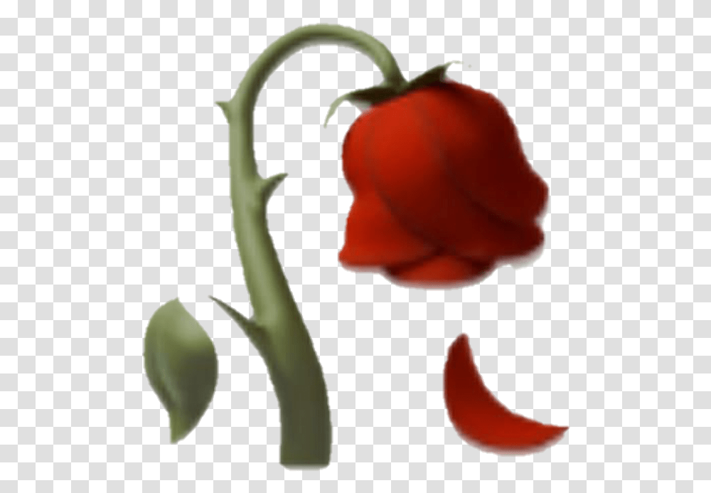 Dead Flower Dead Rose Emoji, Plant, Blossom, Vegetable, Food Transparent Png