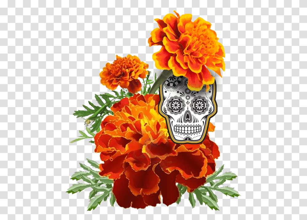 Dead Flower Graphic Freeuse Files Dia De Los Muertos Marigold, Plant, Carnation, Geranium, Dahlia Transparent Png