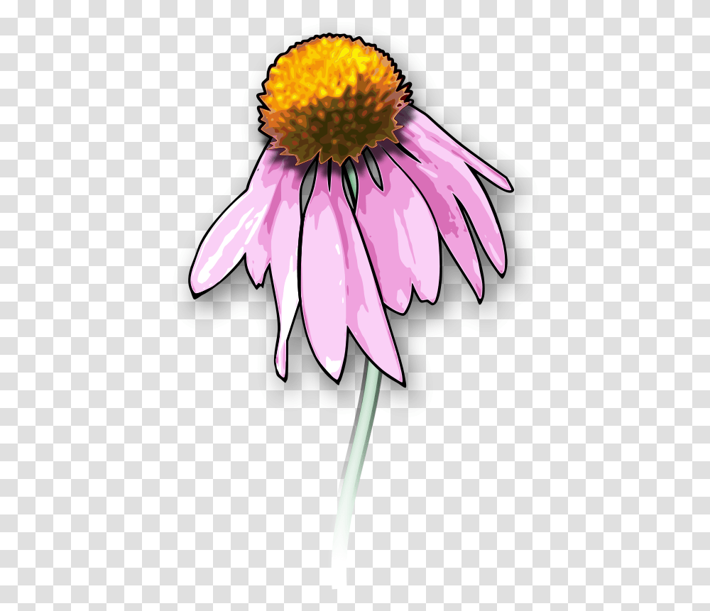 Dead Flowers Clipart, Plant, Daisy, Daisies, Blossom Transparent Png