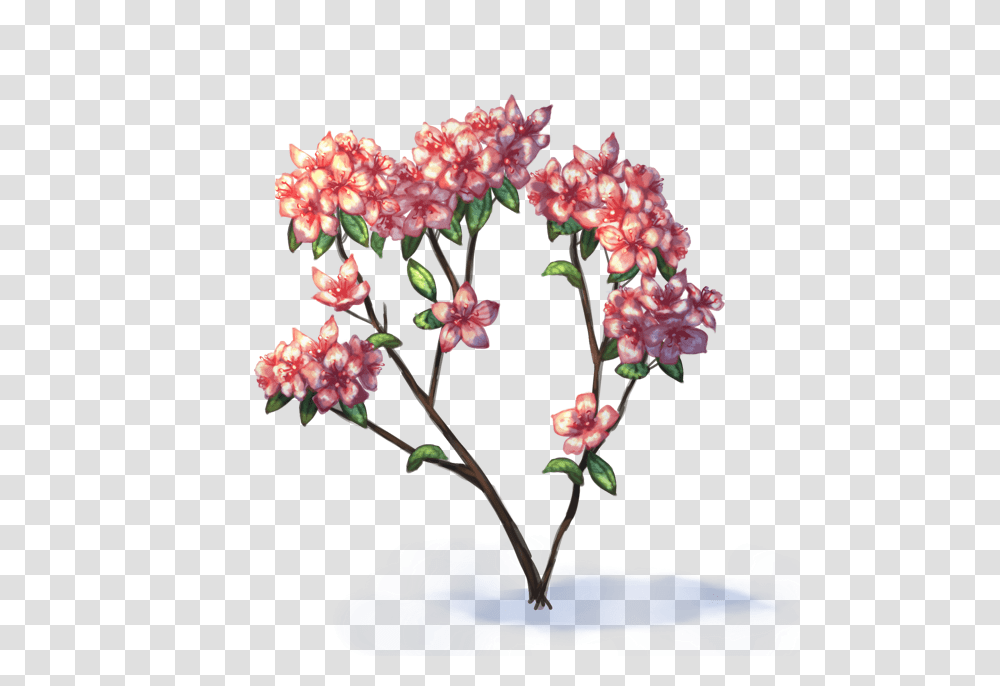 Dead Flowers Simple Azalea Flower Drawing, Plant, Geranium, Jar, Pottery Transparent Png