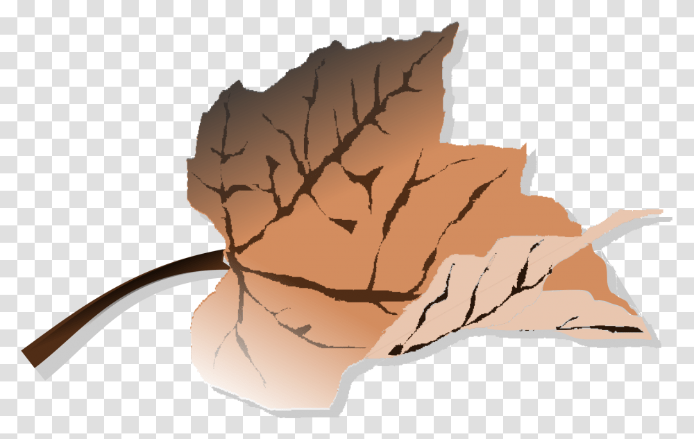 Dead Leaf Clipart Pack 6641 Dead Leaves Clipart, Plant, Tobacco, Soil, Maple Leaf Transparent Png