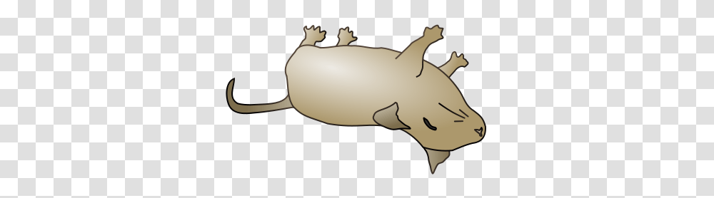 Dead Mouse, Mammal, Animal, Mole, Wildlife Transparent Png