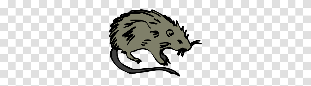 Dead Possum Clipart, Rodent, Mammal, Animal, Beaver Transparent Png