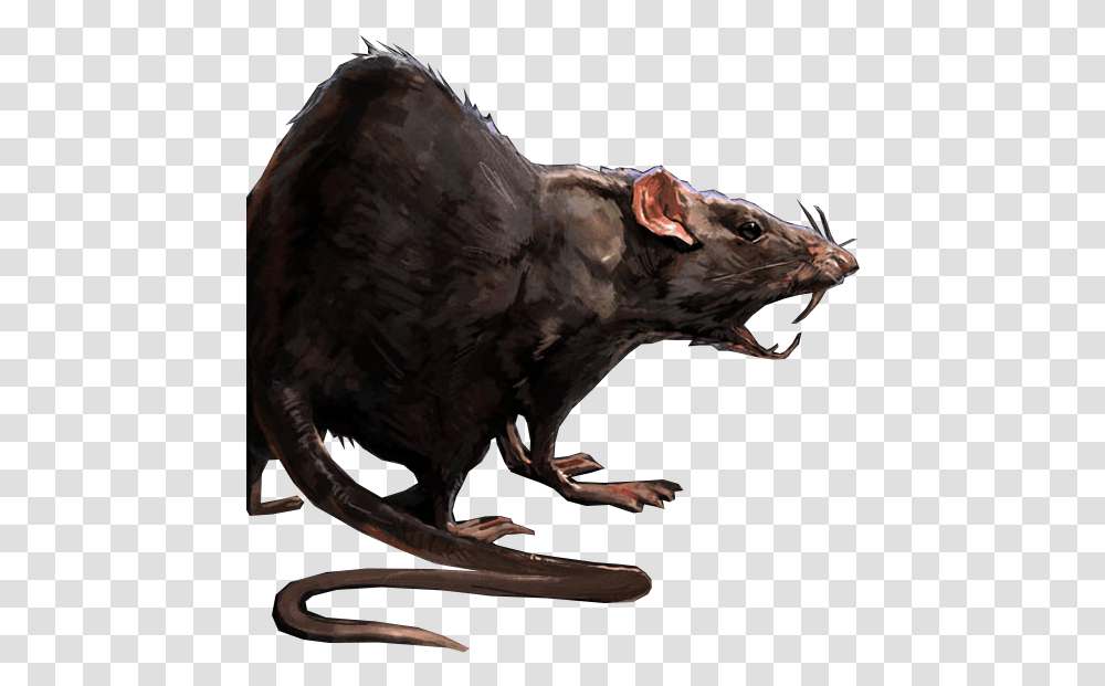 Dead Rat Rat Concept Art, Animal, Mammal, Reptile, Dinosaur Transparent Png