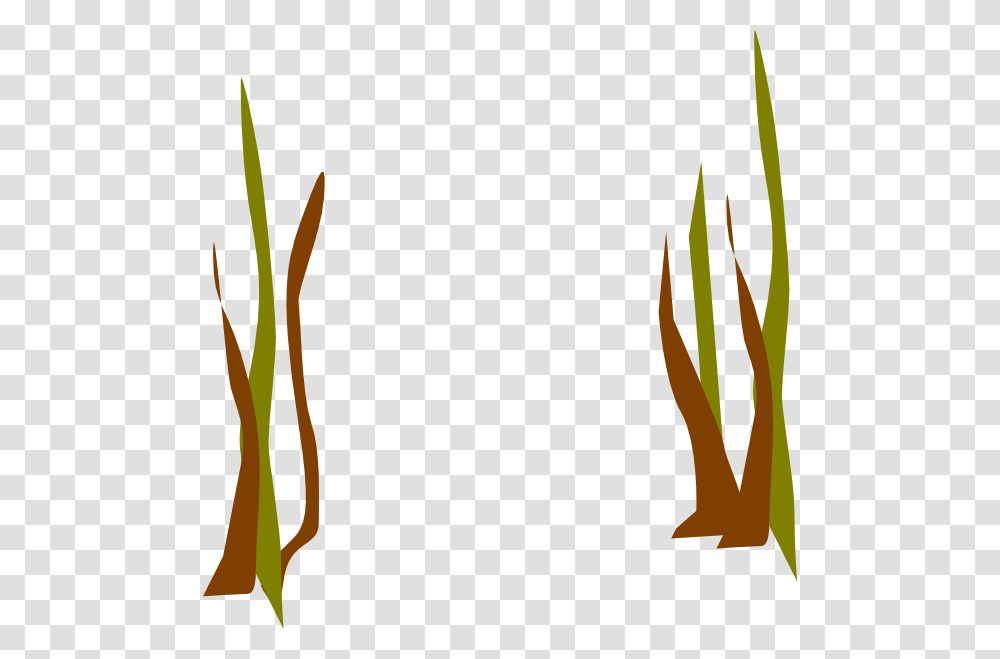 Dead Reeds Clip Art, Plant, Iris, Flower, Grass Transparent Png