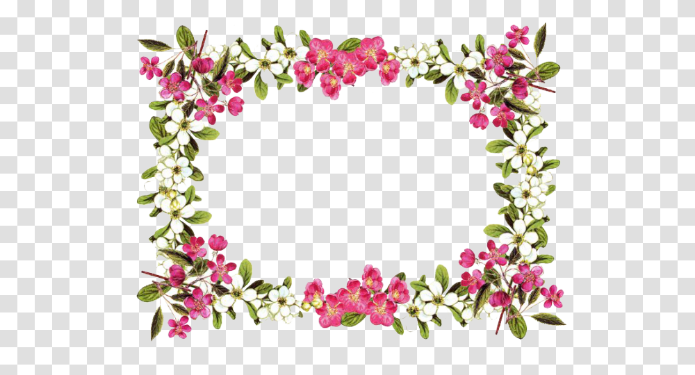 Dead Rising Clipart Flower, Plant, Blossom, Floral Design, Pattern Transparent Png