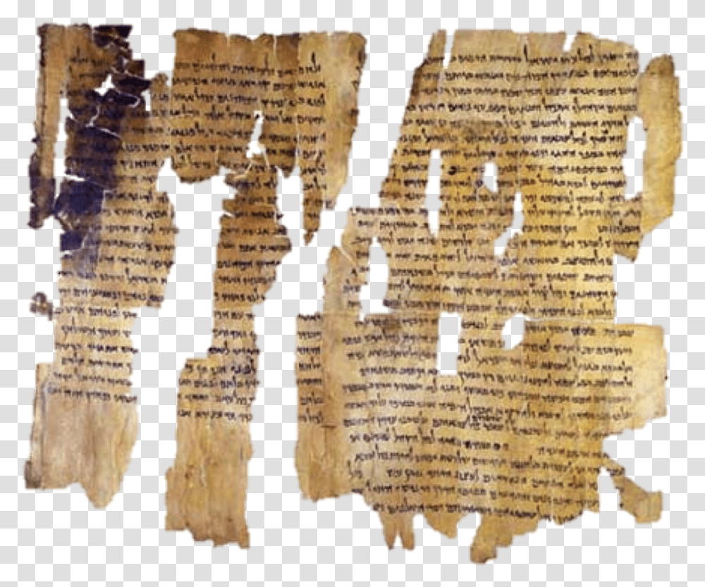Dead Sea Scrolls Pieces Dead Seas Scrolls, Nature Transparent Png