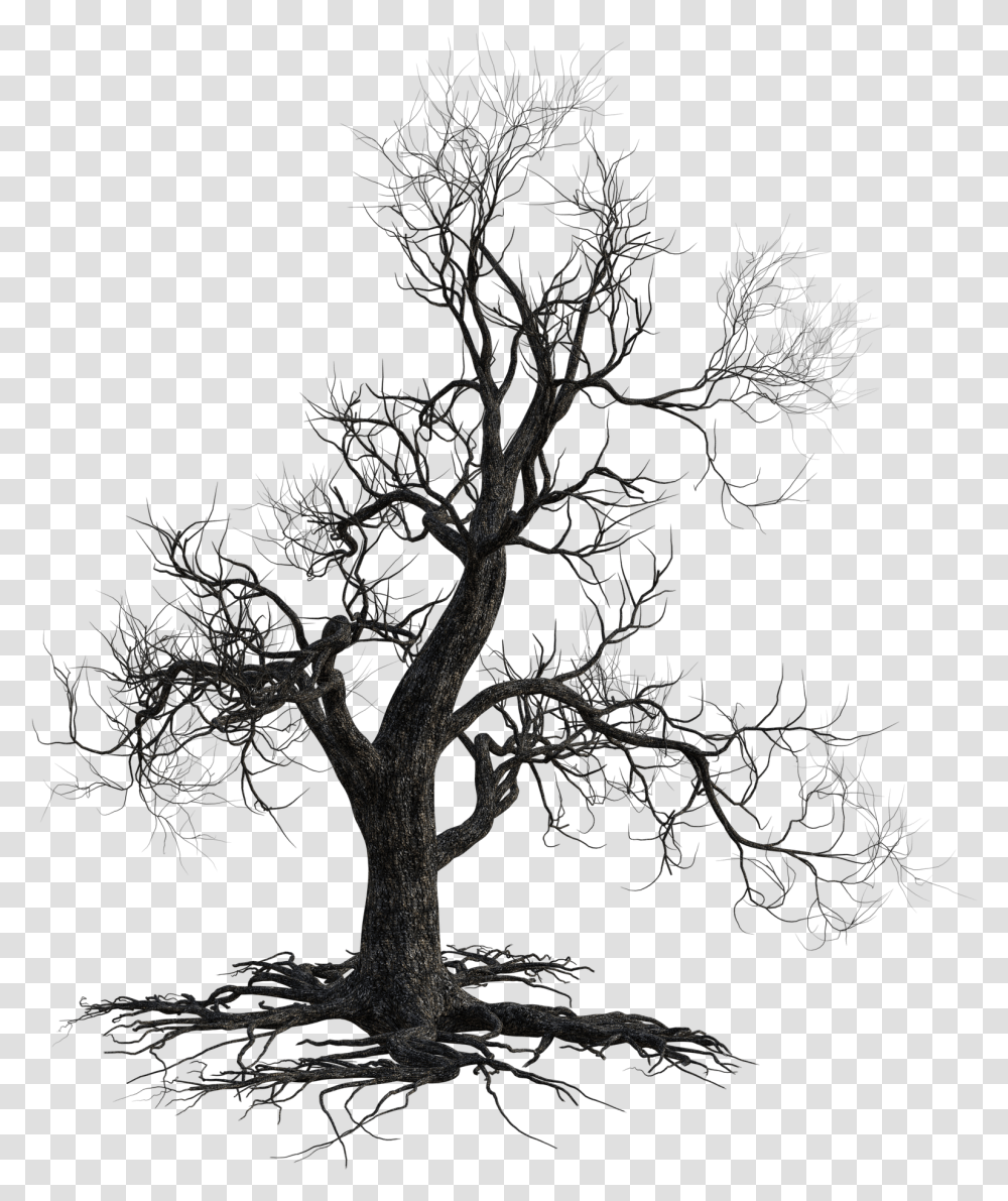 Dead Tree Plant, Silhouette, Root, Cross Transparent Png