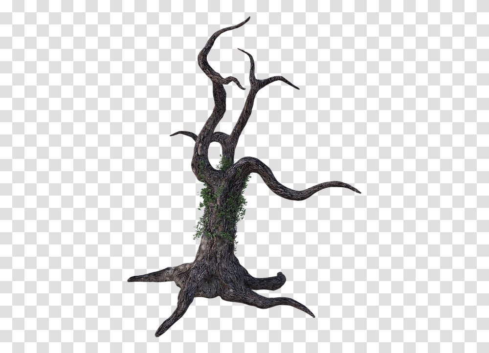 Dead Tree Bark Ivy Limbs Wood Forest Brown Trunk Illustration, Plant, Root, Snake, Reptile Transparent Png