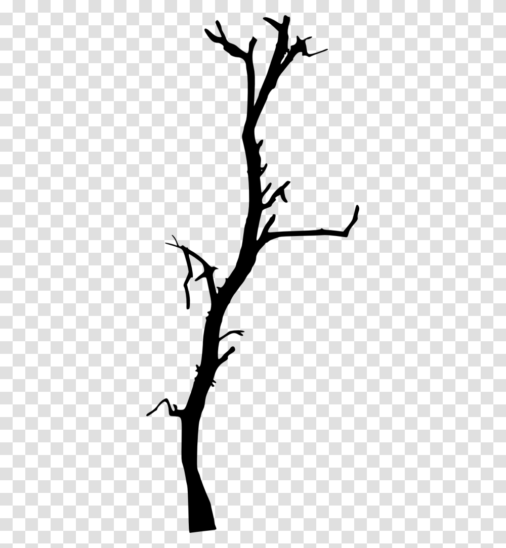 Dead Tree Branch, Gray, World Of Warcraft Transparent Png