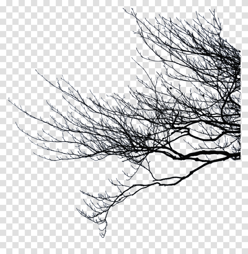 Dead Tree Branches, Outdoors, Nature, Ice, Mountain Transparent Png