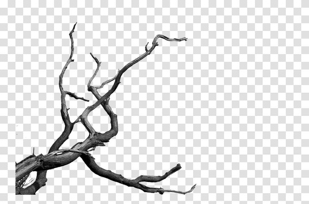 Dead Tree Cartoon, Plant, Root, Wood Transparent Png