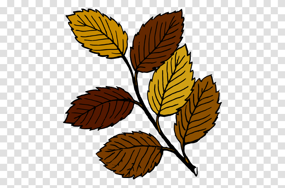 Dead Tree Clipart Birch, Leaf, Plant, Veins Transparent Png