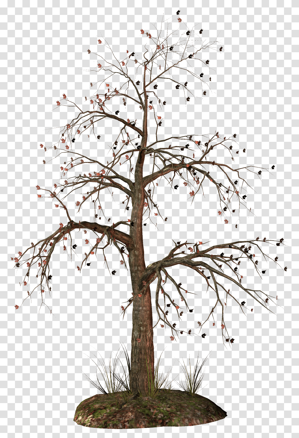 Dead Tree Clipart Dead Christmas Tree Clipart, Plant, Tree Trunk, Outdoors, Nature Transparent Png