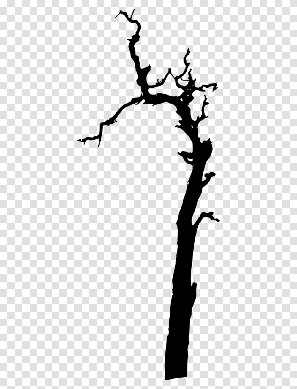 Dead Tree Clipart, Plant, Silhouette, Tree Trunk, Animal Transparent Png