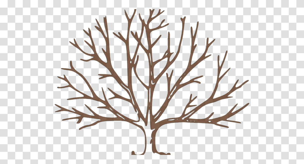 Dead Tree Clipart Tree Outline Tree Branch Clipart Black And White, Plant, Nature, Outdoors, Leaf Transparent Png