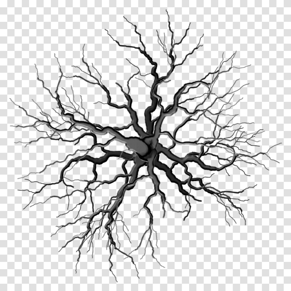 Dead Tree Clipart Tree Top Black And White, Plant, Root, Pattern, Ornament Transparent Png