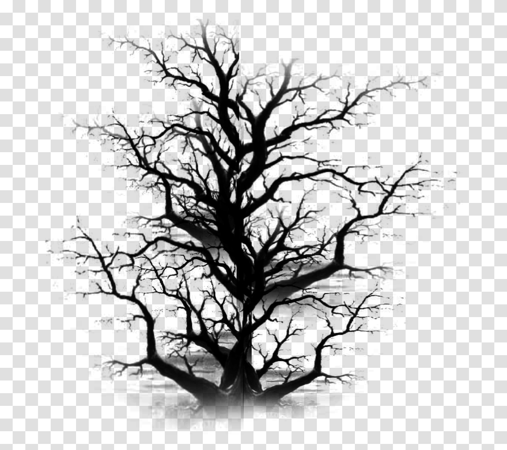 Dead Tree Dead Trees Files, Gray, World Of Warcraft Transparent Png