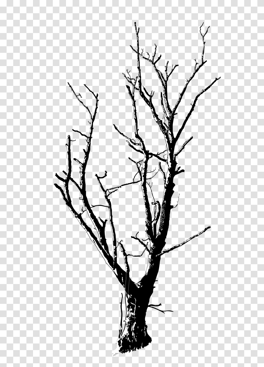 Dead Tree Detailed Icons, Plant, Flower, Oak, Tree Trunk Transparent Png