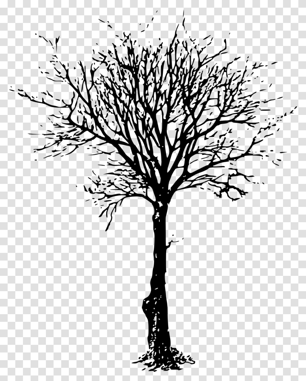 Dead Tree Draw, Gray, World Of Warcraft Transparent Png