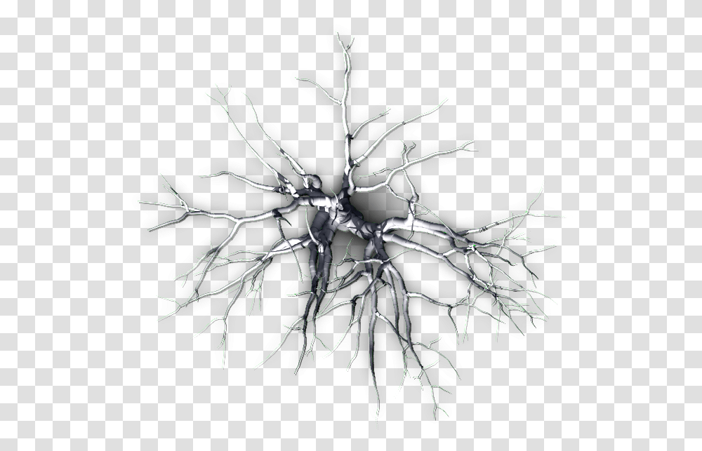 Dead Tree From Above, Cross, Snowflake, Leaf Transparent Png
