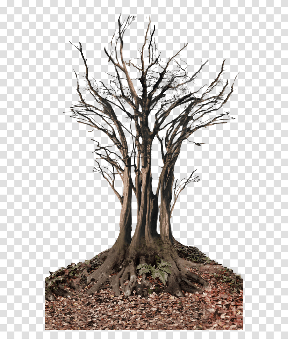 Dead Tree In Landscape Dead Trees, Plant, Root, Tree Trunk, Bonsai Transparent Png