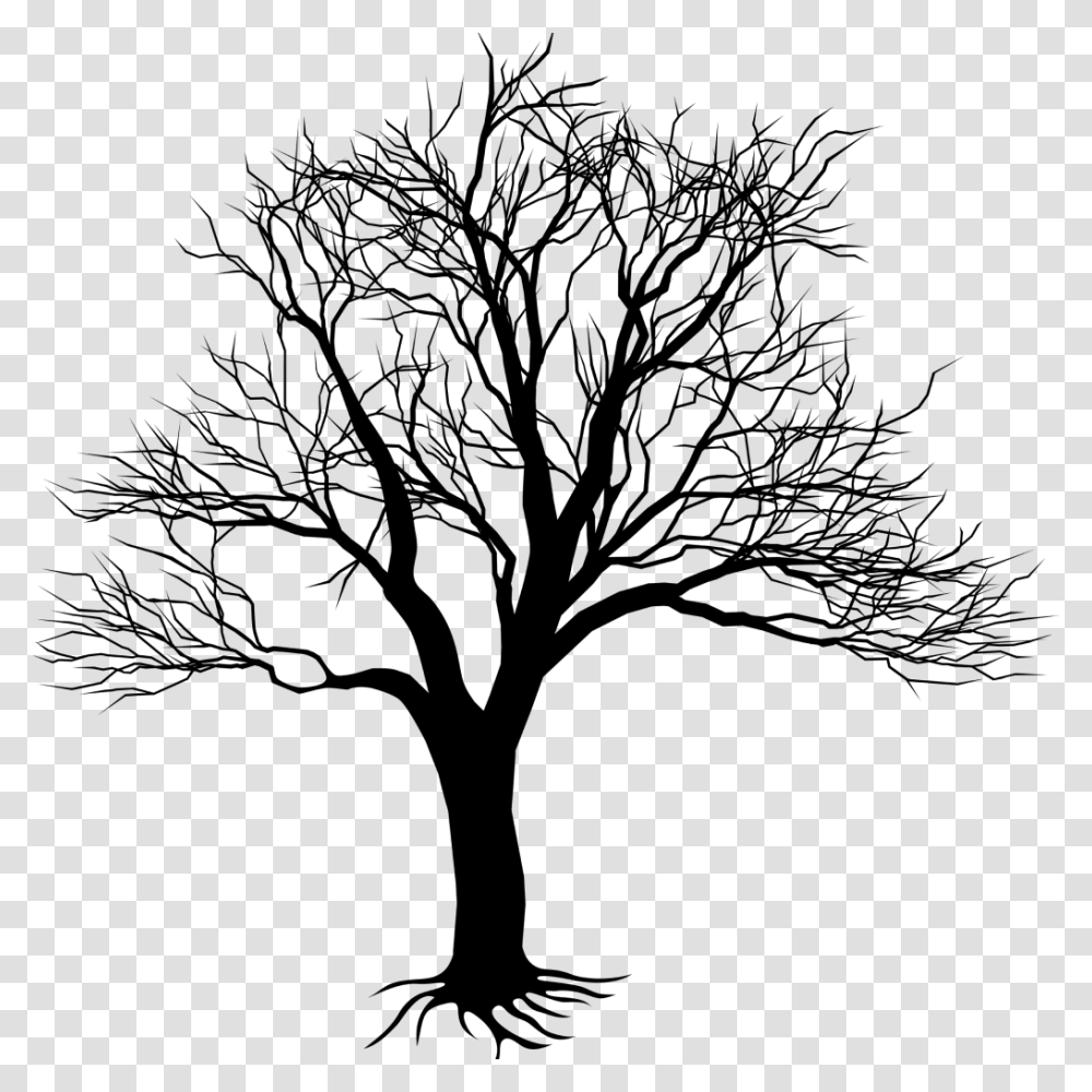 Dead Tree Kill A Mockingbird Tree, Outdoors, Nature, Outer Space, Astronomy Transparent Png
