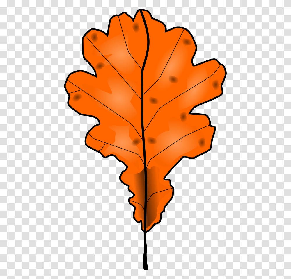 Dead Tree Leaf Clipart Download Dead Tree Leaf Clipart, Plant, Maple Leaf, Bonfire, Flame Transparent Png
