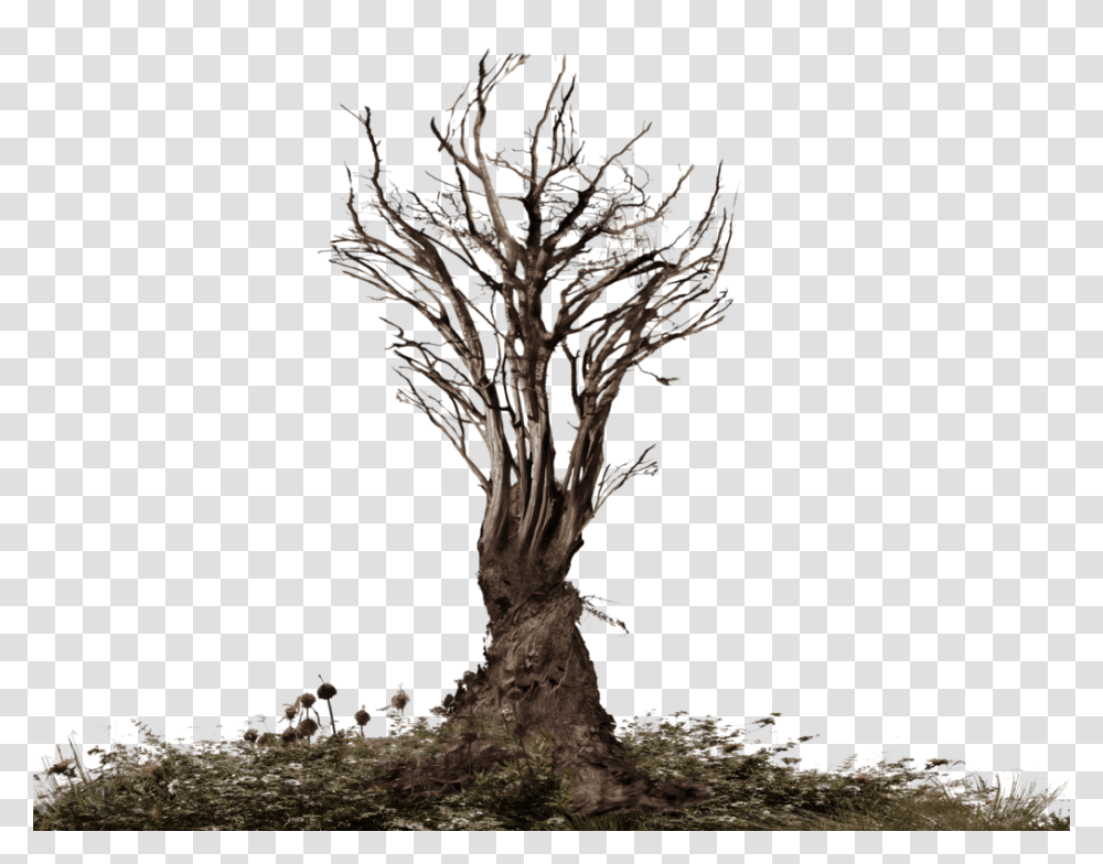 Dead Tree Official Psds Tree With Root, Plant, Fungus, Tree Trunk, Silhouette Transparent Png