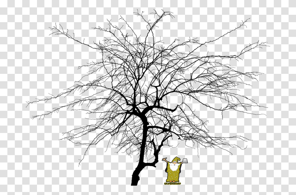 Dead Tree, Plant, Cross, Pattern Transparent Png