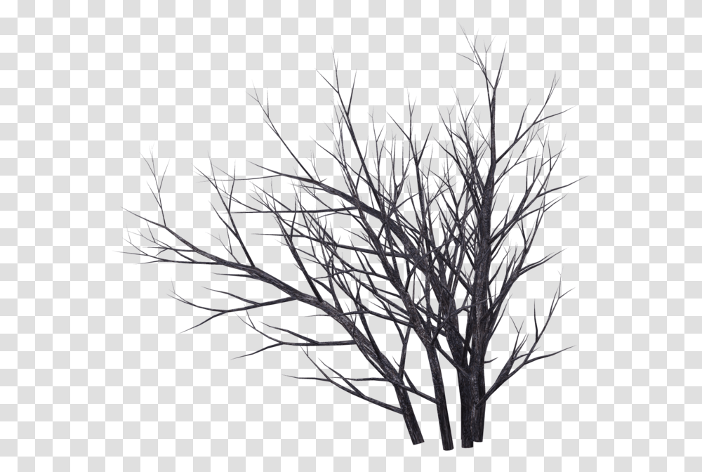 Dead Tree Render, Nature, Plant, Outdoors, Silhouette Transparent Png
