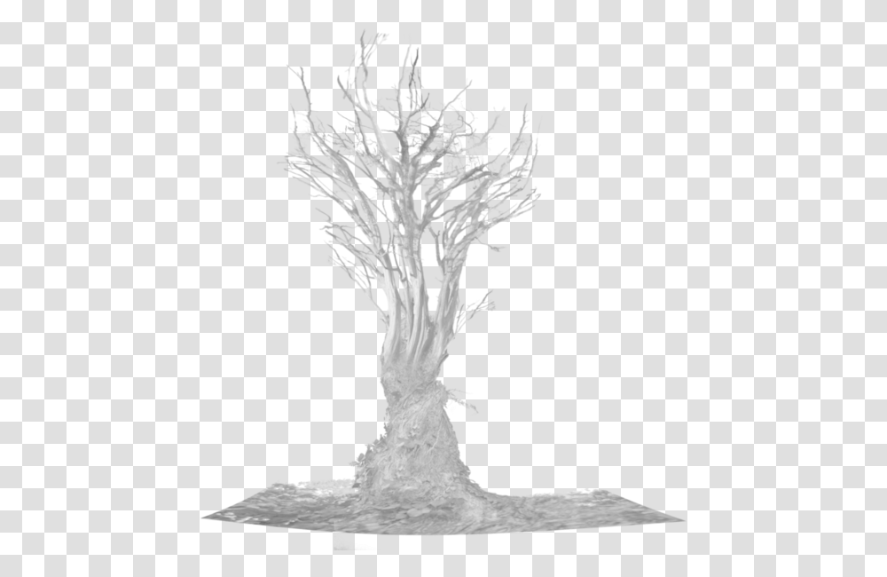 Dead Tree Root Tree, Plant, Bird, Animal, Bush Transparent Png